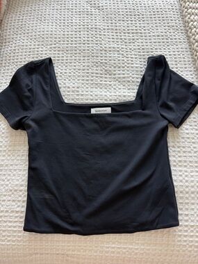 Aritzia Babaton Short Sleeve Top